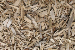 biomass boilers Glapthorn
